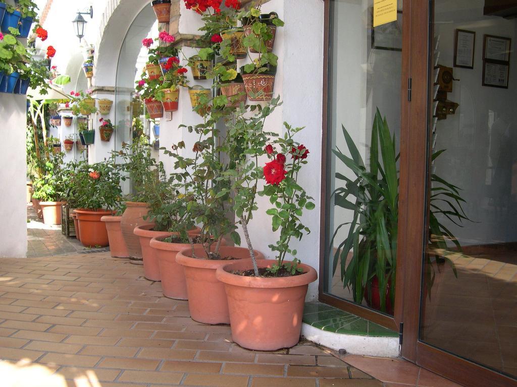 צ'יקלנה דה לה פרונטרה Hotel Cortijo Los Gallos מראה חיצוני תמונה